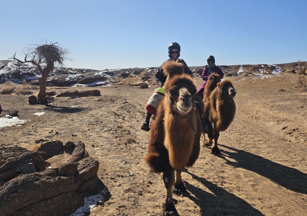 Autumn Gobi Camel Trek