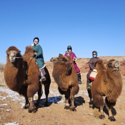 Autumn Gobi Camel Trek