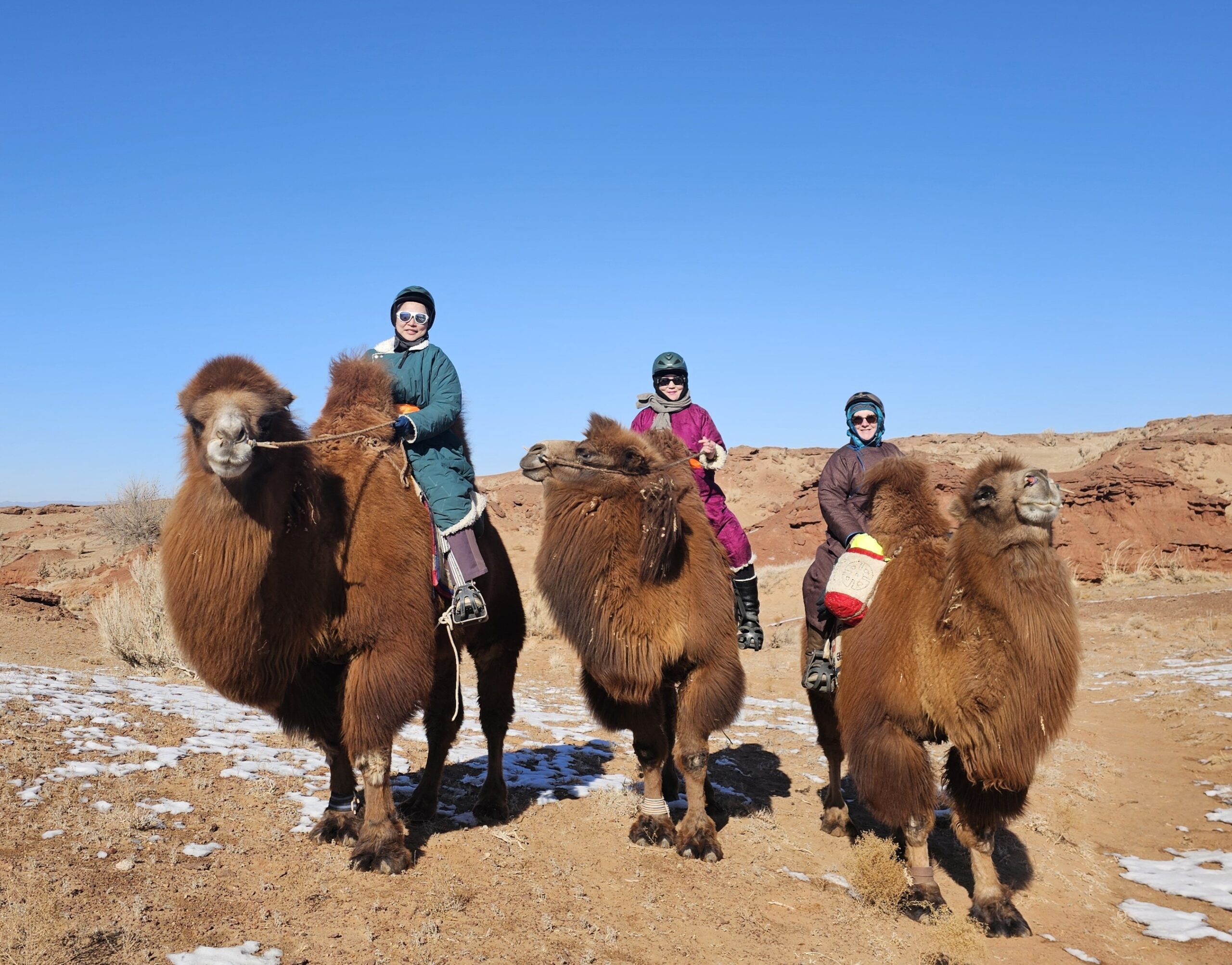 Autumn Gobi Camel Trek