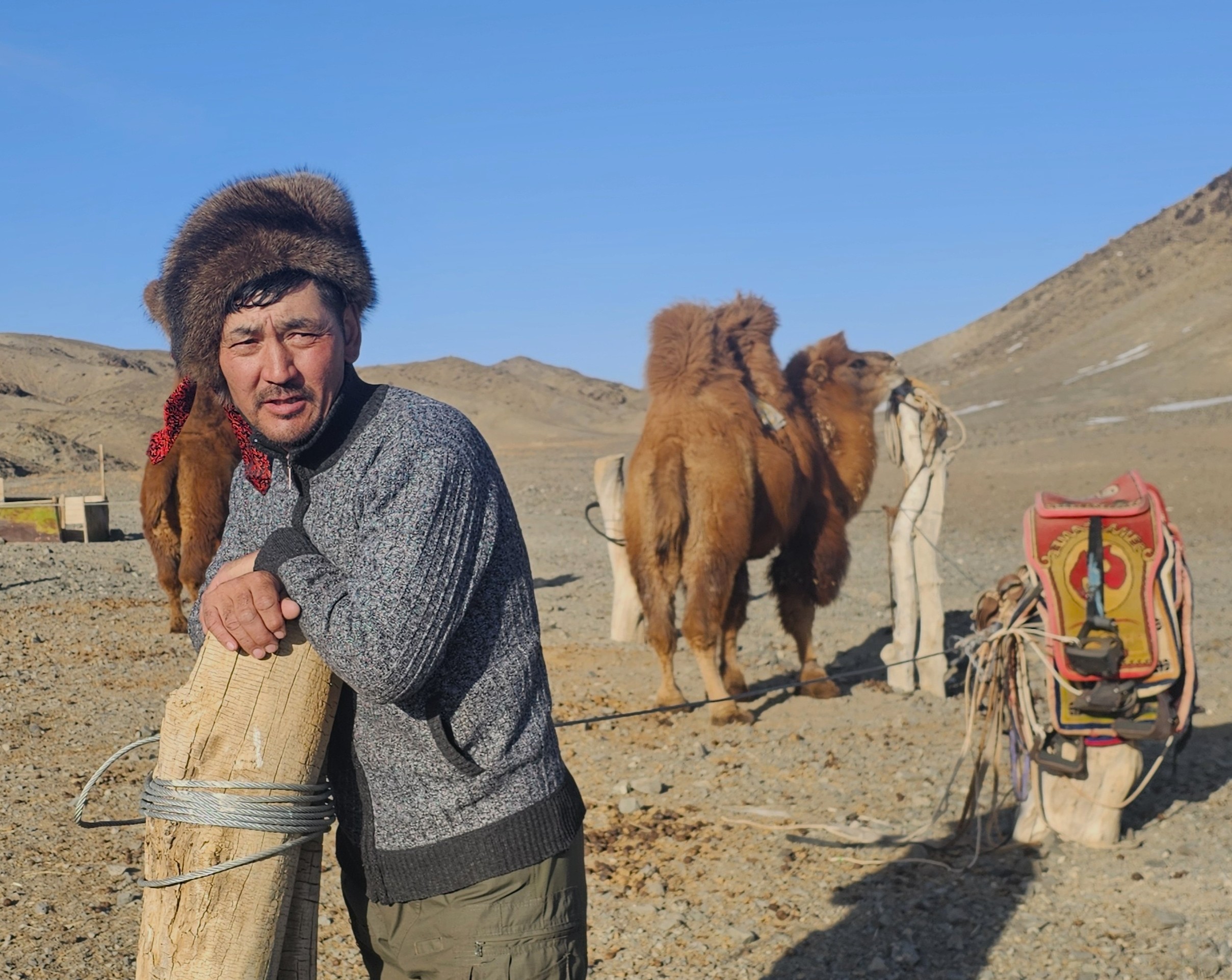 Autumn Gobi Camel Treks