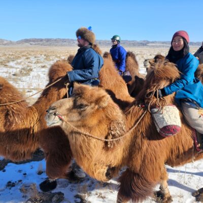 Autumn Gobi Camel Trek